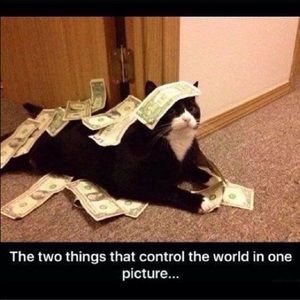 Meet your Posher, Karimah